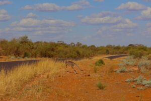 Préparer son PVT en Australie