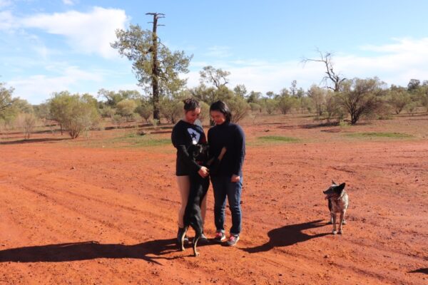 Azumi, moi et les chiens