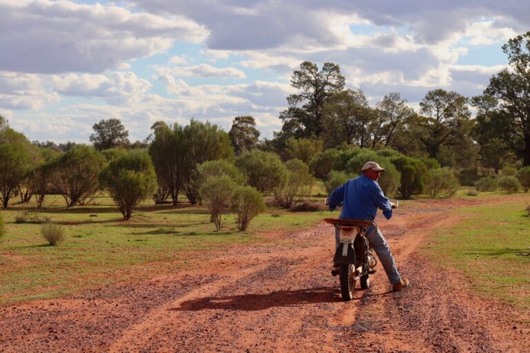 Lire la suite à propos de l’article Les 3 étapes primordiales à faire en arrivant en Australie