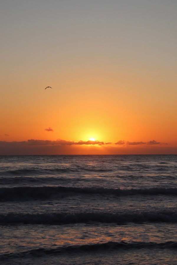 levé de soleil sur la Gold Coast, vertical