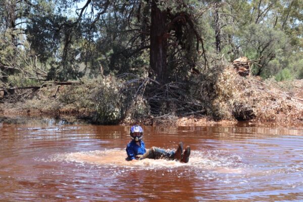 talas dans l'eau