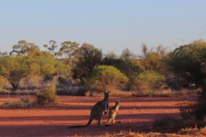 L’insolence de l’imprévu