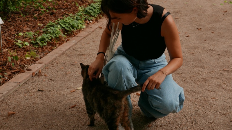 lucine et le chat