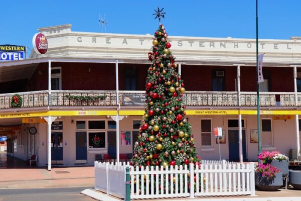 sapin-de-cobar