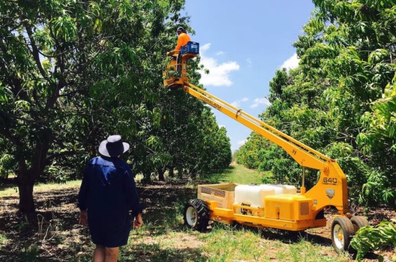 Capture cherry picker