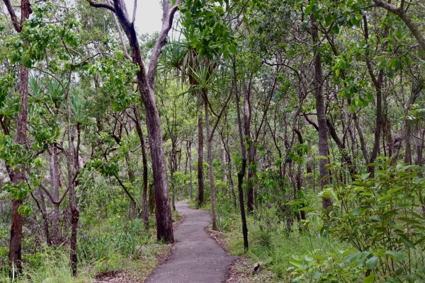 foret big crystal creek