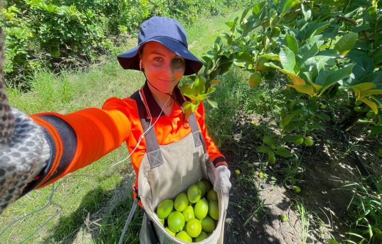 Lire la suite à propos de l’article La tête dans les citrons