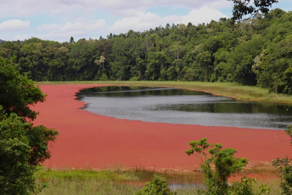 Lake Euramoo