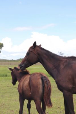 heidi et luna