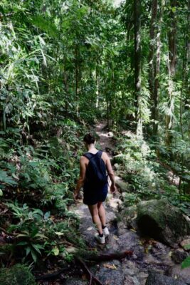 lucine mossman gorge