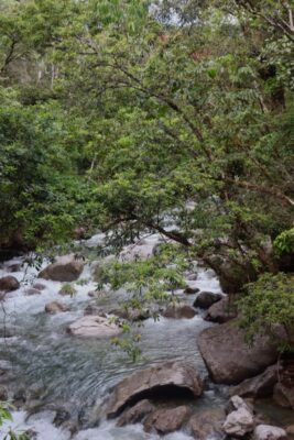 mossman gorge