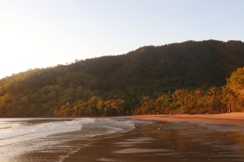 sunrise cow bay