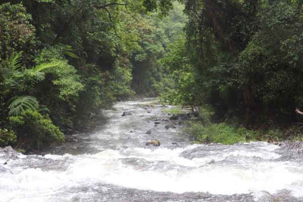 nandroya falls