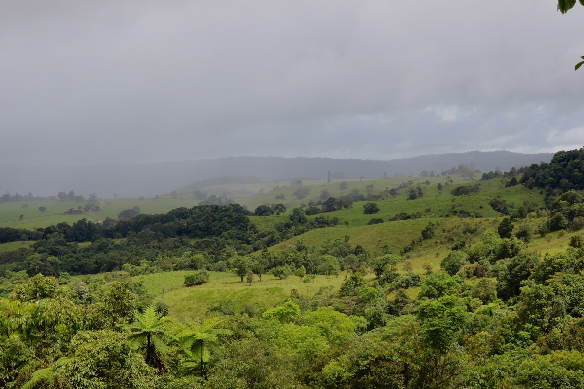 paysage-bucolique