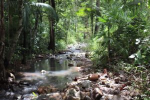 Les chemins se croisent et se décroisent