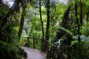 L’importance d’être seul