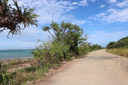 Sadie's beach + forêt