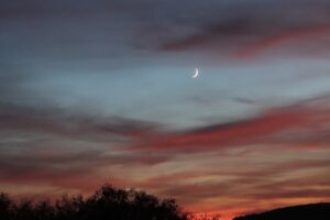 Vivre au jour le jour