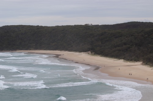 Noosa national park