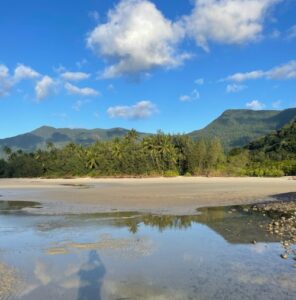 daintree