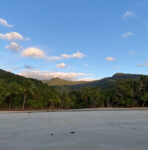 daintree