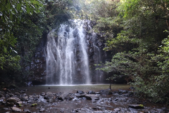 ellinja falls