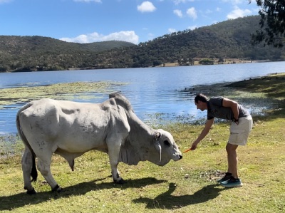 eungella dam