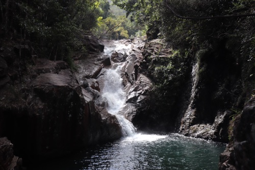 finch hatton gorge