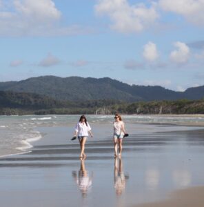 daintree