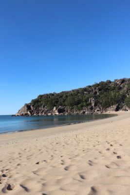 radical bay magnetic island-2