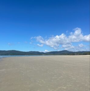 daintree