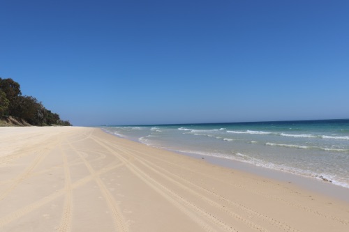 Moreton island