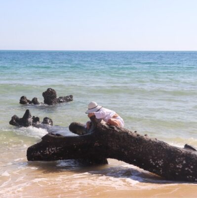 point de suture Moreton island