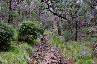 warrumbungle jour 1