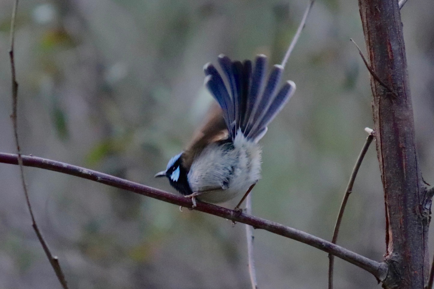 warrumbungle jour 1