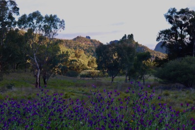 warrumbungle jour 1