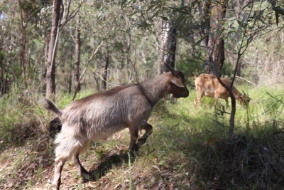 warrumbungle jour 1