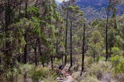 warrumbungle jour 1