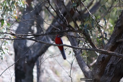 warrumbungle jour 2