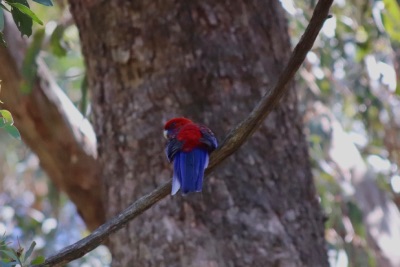 warrumbungle jour 2