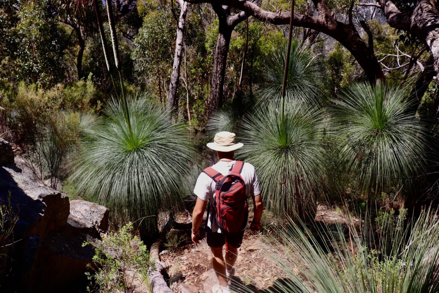 warrumbungle jour 2