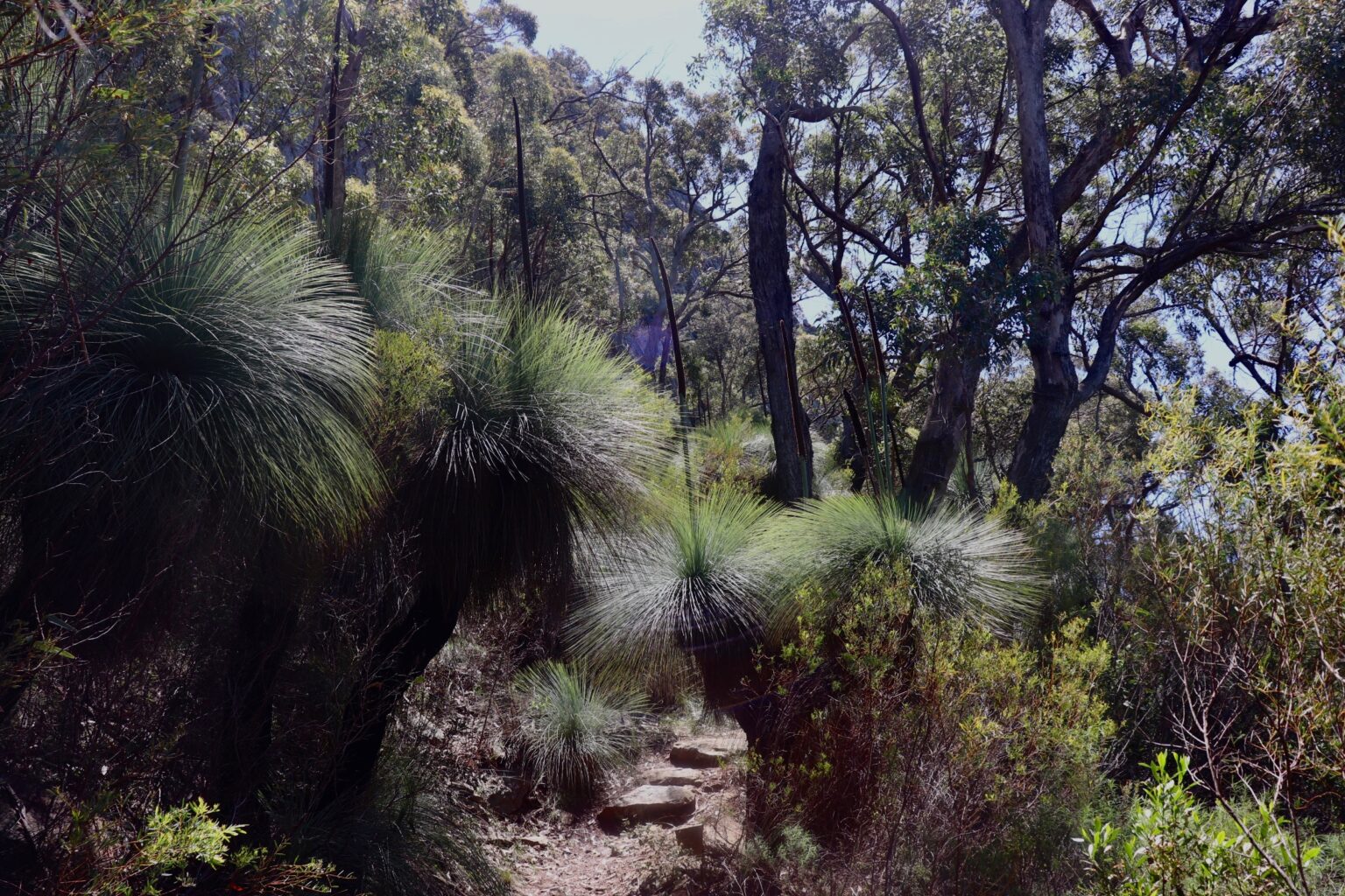 warrumbungle jour 2