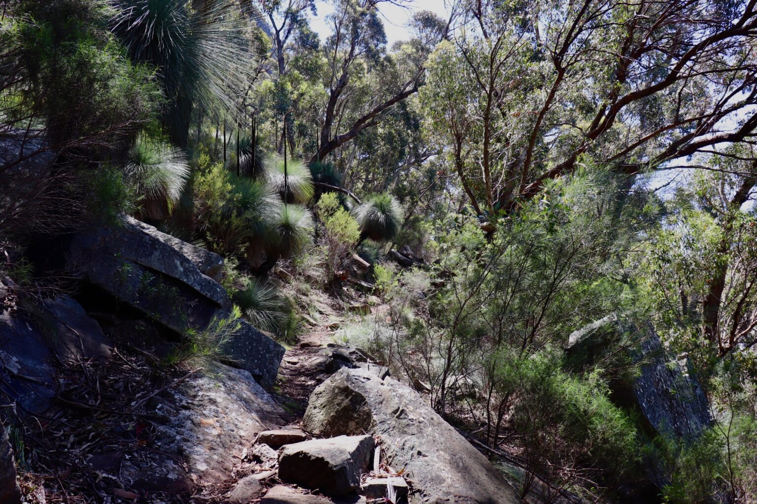 warrumbungle jour 2