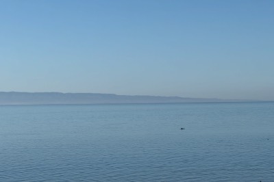 Fitzgerald bay