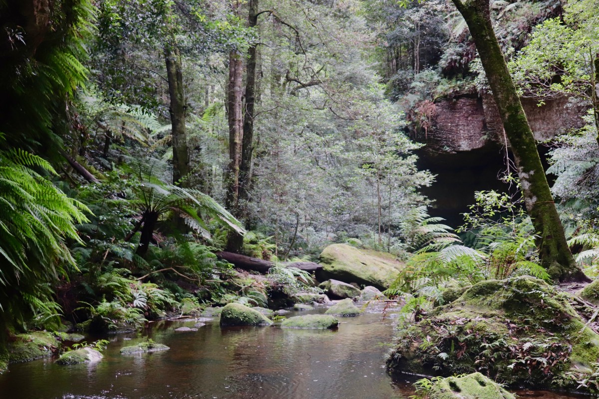 blue mountains