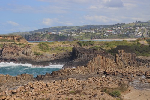 bombo healdland