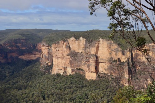 evans lookout