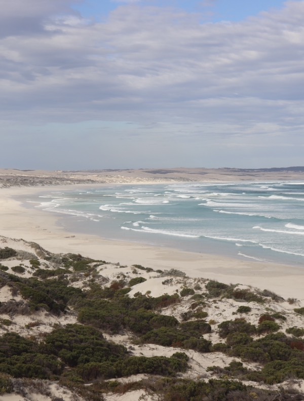 eyre peninsula