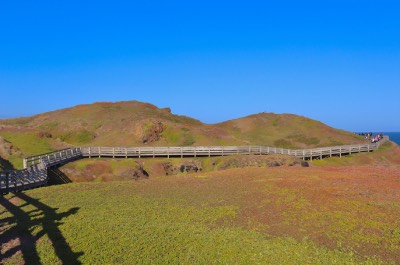 phillip island