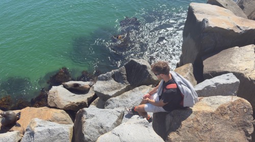 seal rock